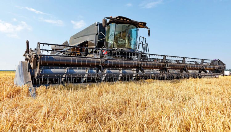 أزمة القمح في العالم